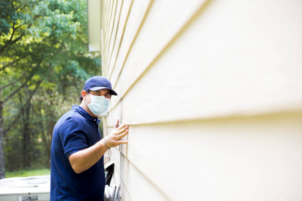 Best Custom Siding Design  in Town And Country, WA